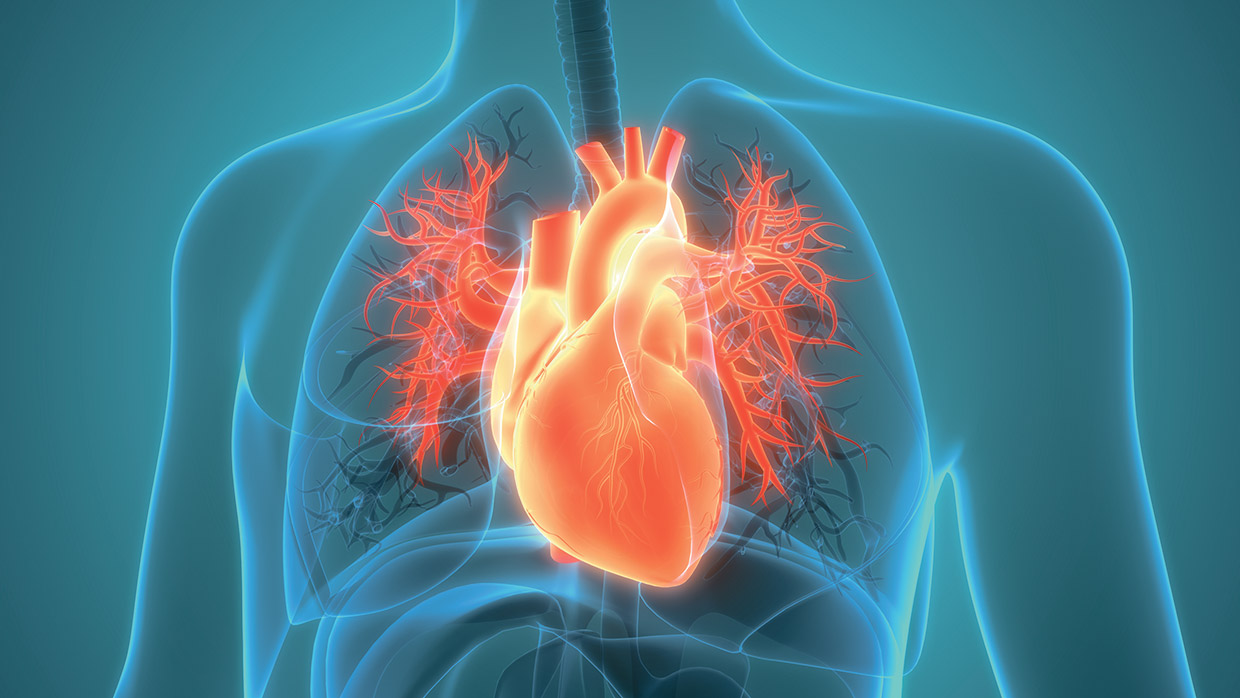 Blaue Grafik mit einem roten, leuchtenden Herz und dessen Kranzgefäßen.